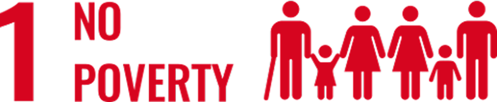 No poverty